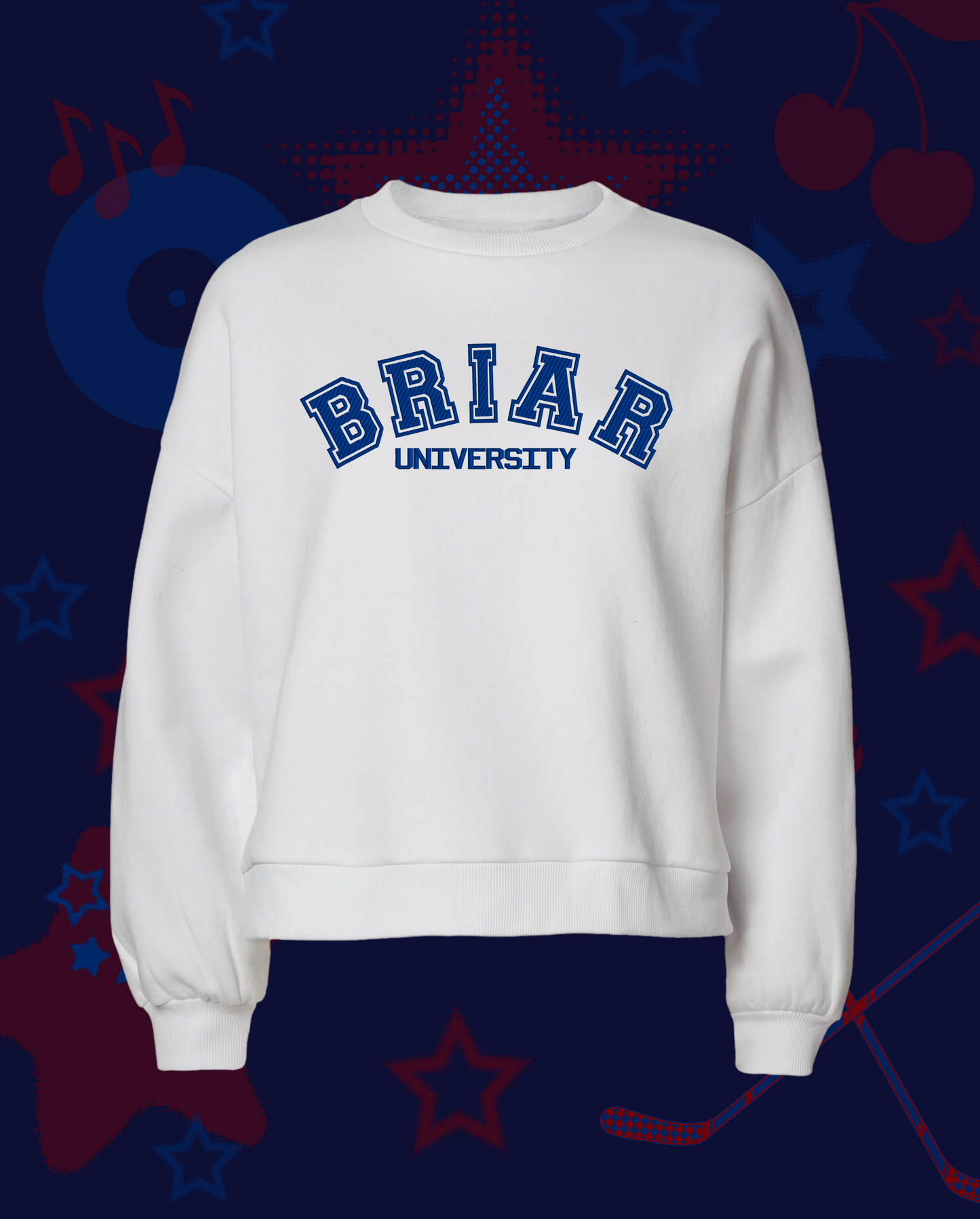 Briar University T-Shirt / Sweatshirt