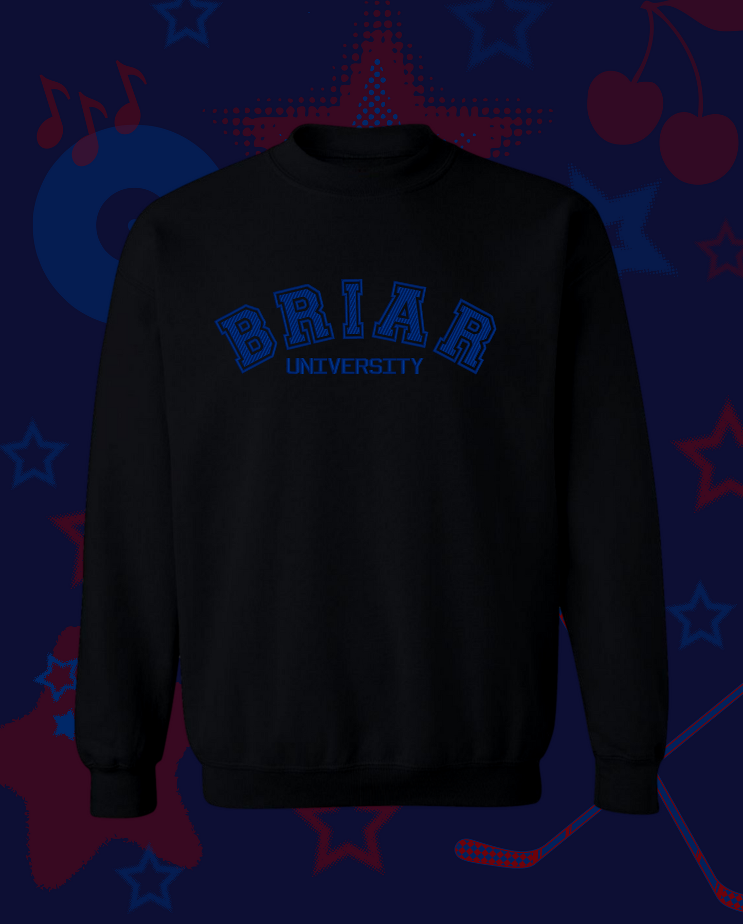 Briar University T-Shirt / Sweatshirt
